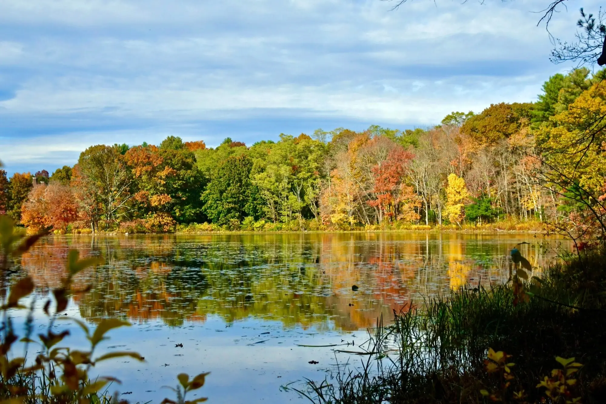 Lake in Bedford charter township Michigan
